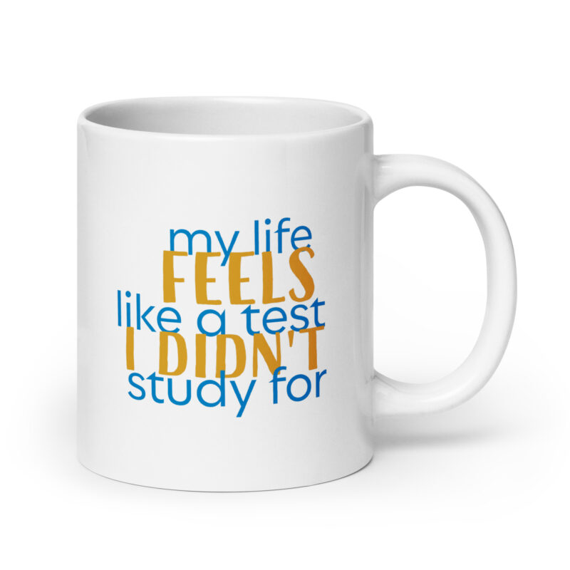 My life feels like a test I didn’t study for.